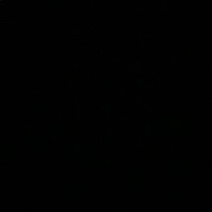 Meet your Posher, Joanne